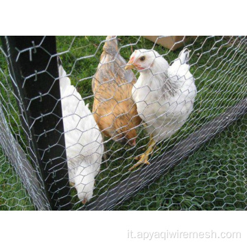 Galvanizzata a filo esagonale in rete di pollo in rete di pollo